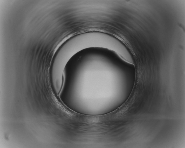 X0000099400798200805221854