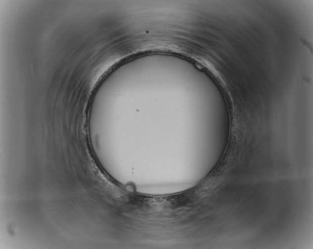 X0000099400799200805221854