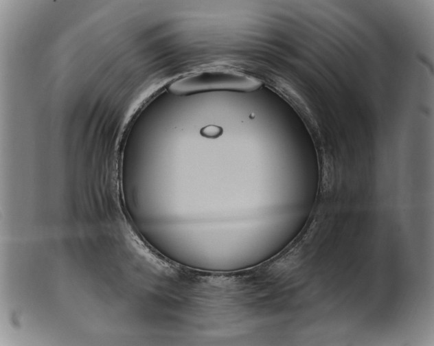 X0000099400800200805221854