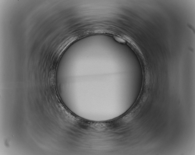 X0000099400801200805221854