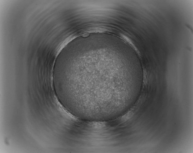 X0000099400802200805221854