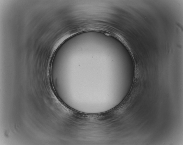 X0000099400803200805221854