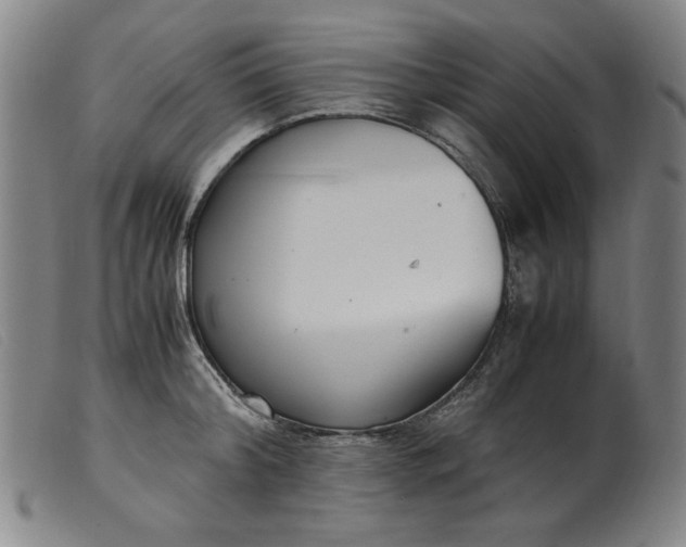 X0000099400804200805221854