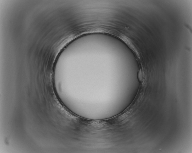 X0000099400805200805221854