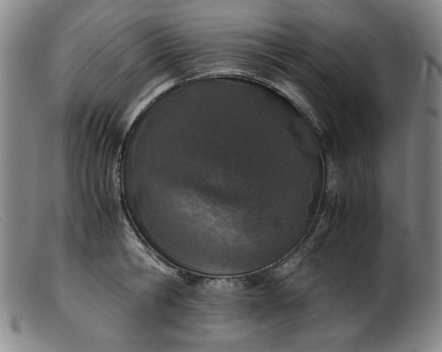 X0000099400806200805221854