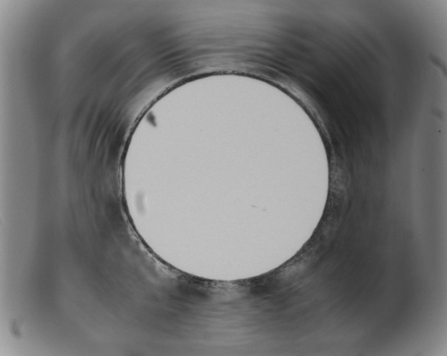 X0000099400807200805221854