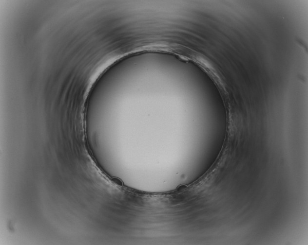 X0000099400808200805221854