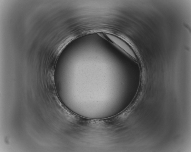 X0000099400809200805221854