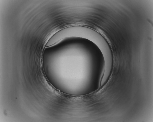 X0000099400810200805221854