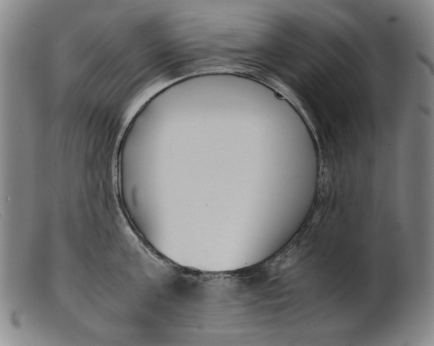 X0000099400811200805221854