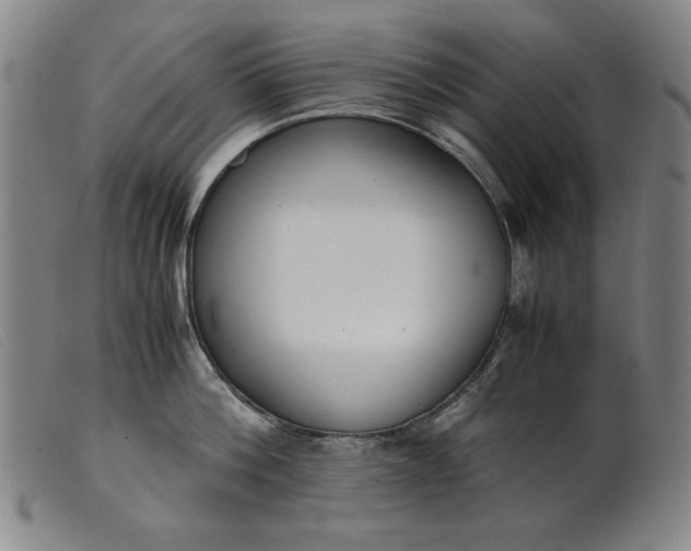 X0000099400812200805221854