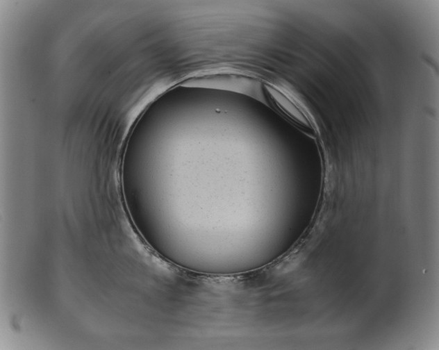 X0000099400813200805221854