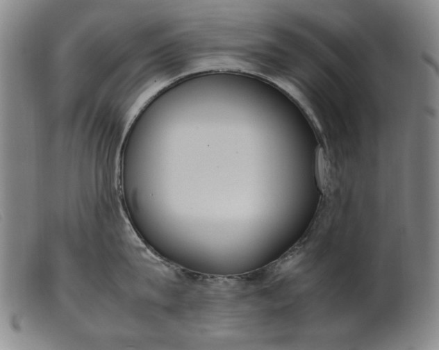 X0000099400815200805221854