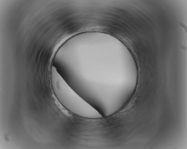 X0000099400816200805221854