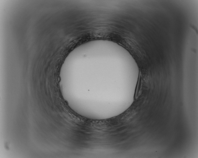 X0000099400817200805221853