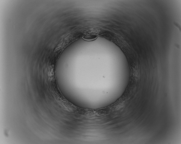 X0000099400818200805221853