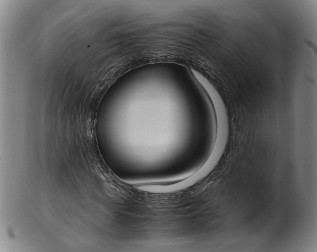 X0000099400819200805221853