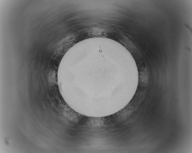 X0000099400820200805221853