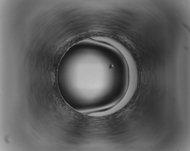 X0000099400821200805221853