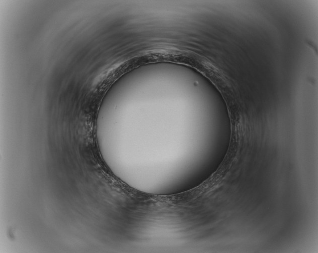 X0000099400822200805221853