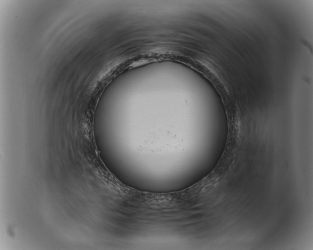 X0000099400823200805221853