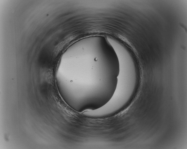 X0000099400825200805221853