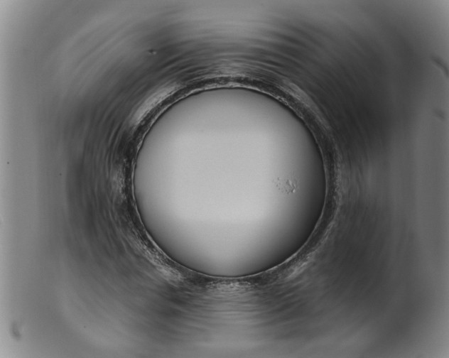 X0000099400826200805221853