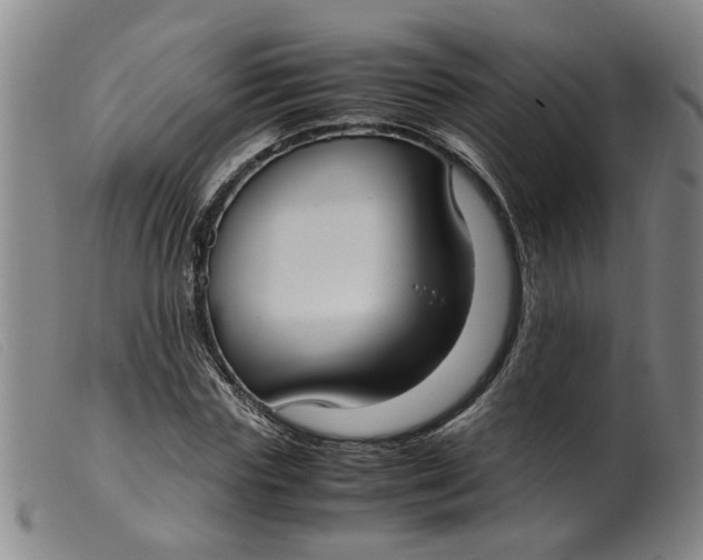 X0000099400827200805221853