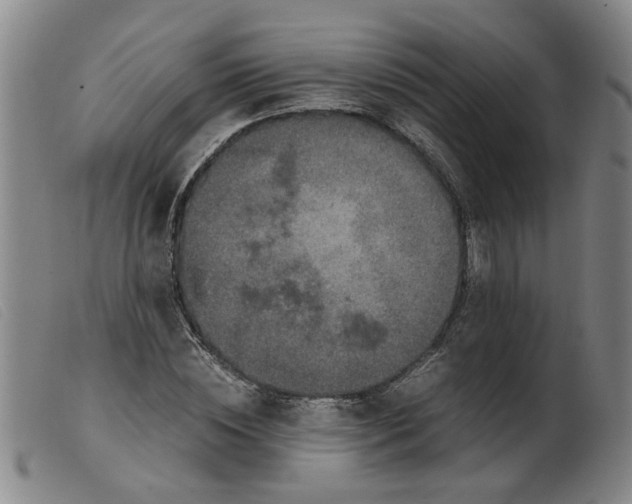 X0000099400828200805221853