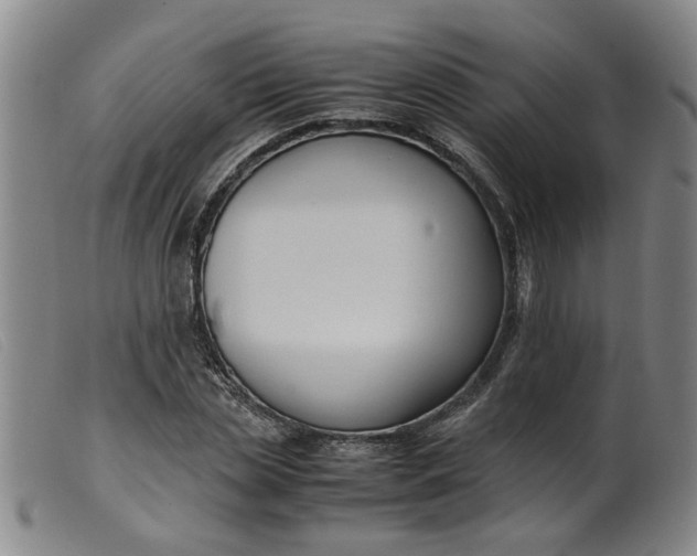 X0000099400829200805221853