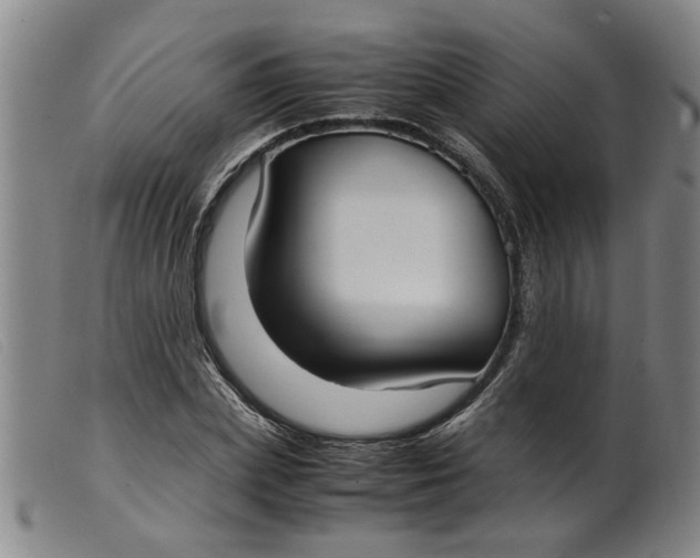 X0000099400831200805221854