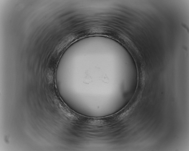 X0000099400833200805221854