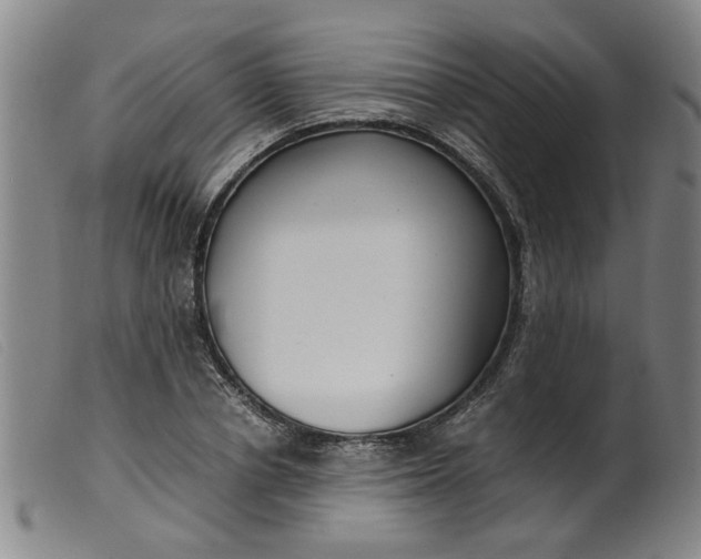 X0000099400834200805221854