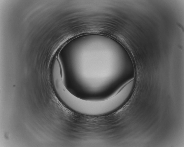 X0000099400835200805221854