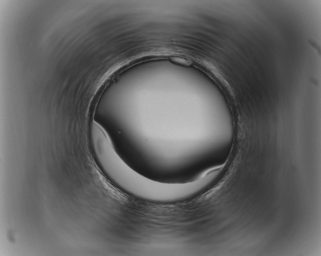 X0000099400837200805221854