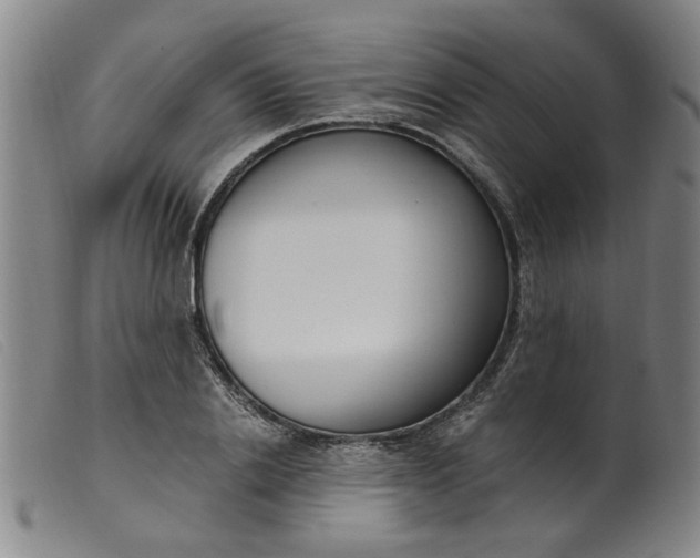 X0000099400838200805221854