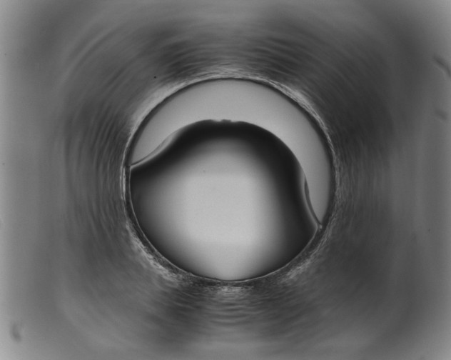 X0000099400839200805221854