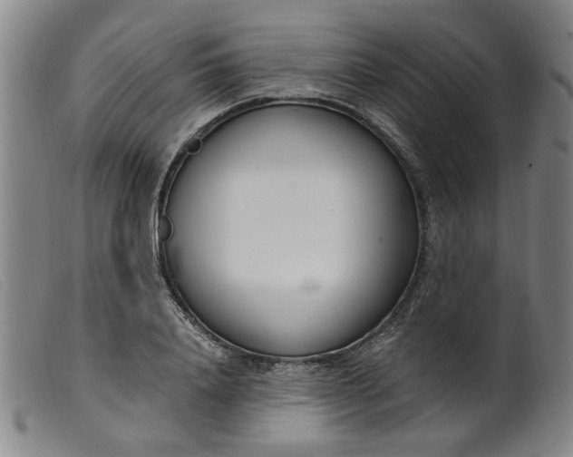 X0000099400840200805221854