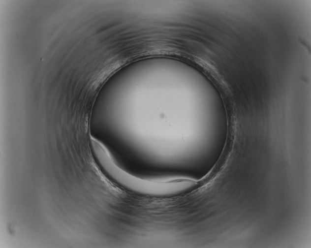 X0000099400841200805221854