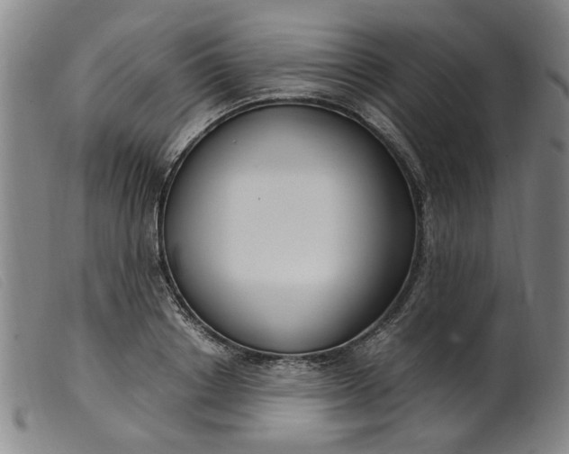 X0000099400842200805221854