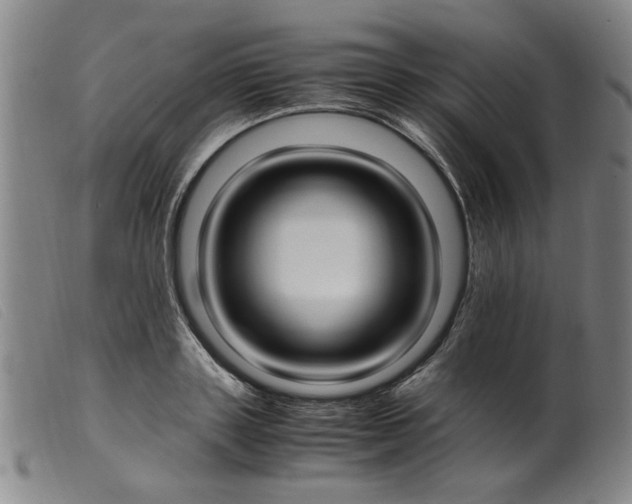 X0000099400843200805221854