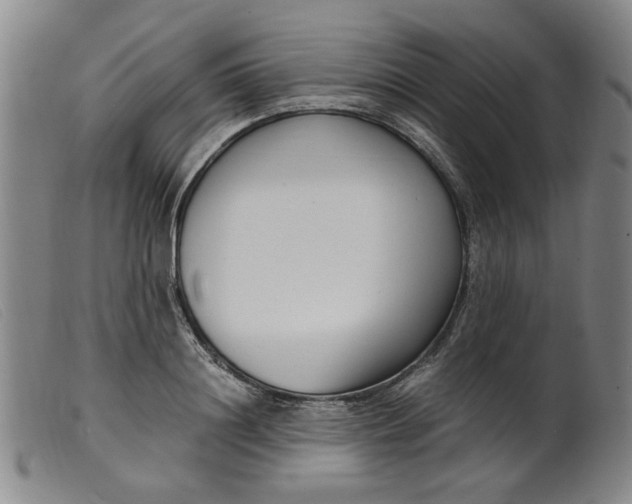 X0000099400844200805221854