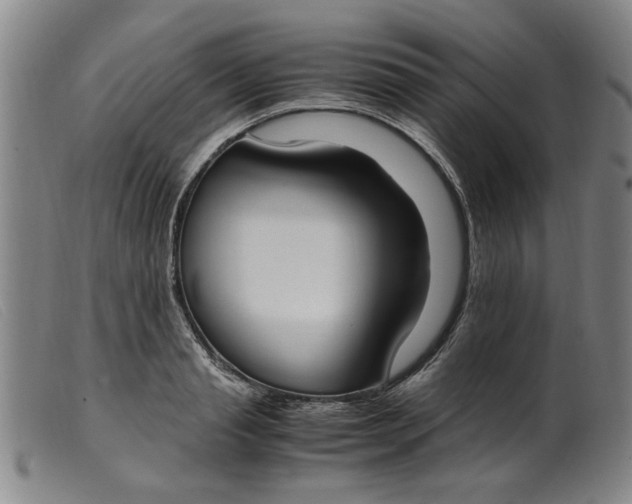 X0000099400845200805221854