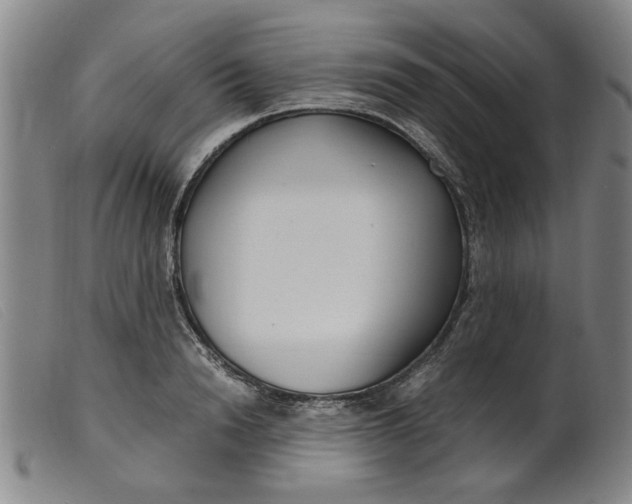 X0000099400846200805221854