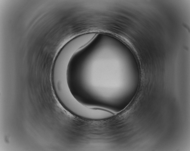 X0000099400847200805221854