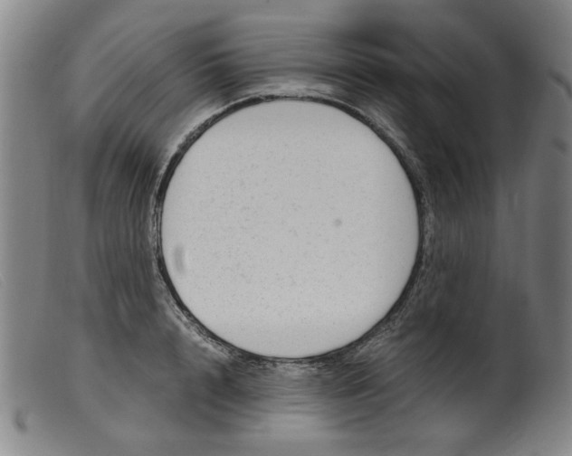 X0000099400848200805221854