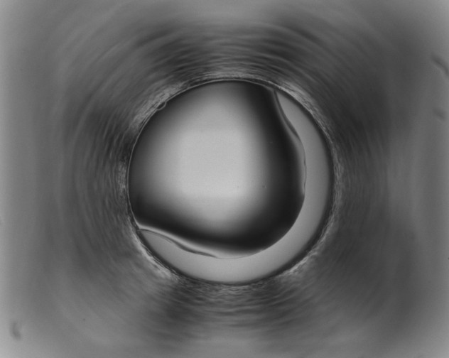 X0000099400849200805221854