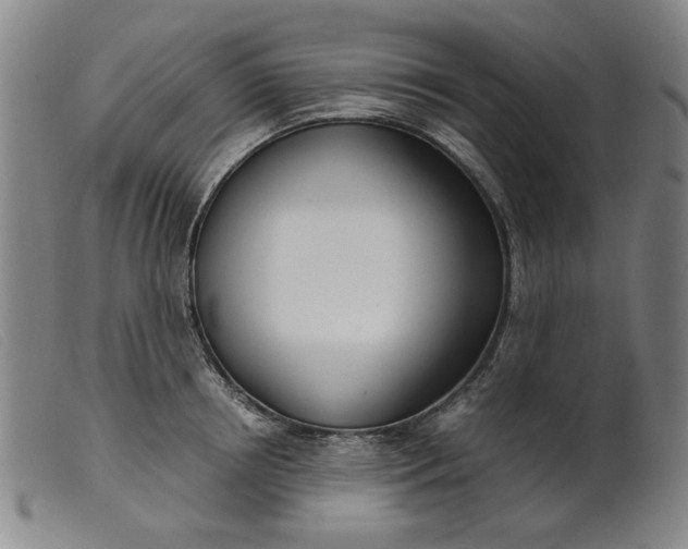 X0000099400850200805221854