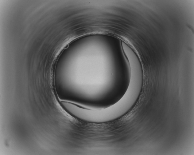 X0000099400851200805221854