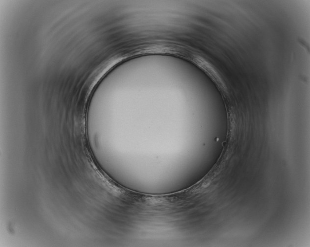 X0000099400852200805221854